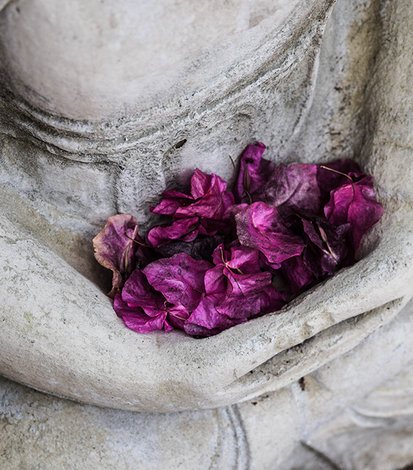 chris-ensey-16QrjudiZnE-unsplash